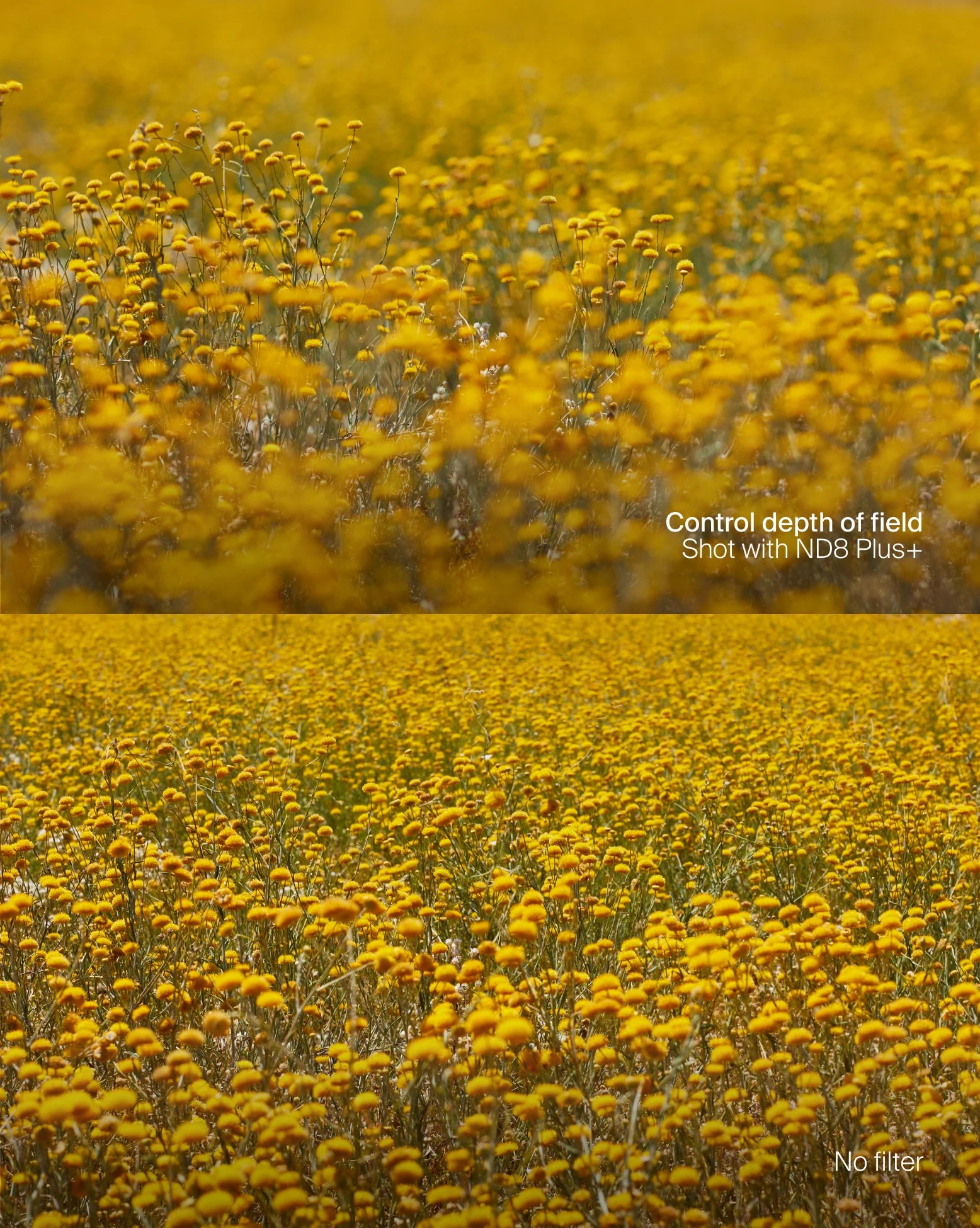 Essentials Filter Kit Plus - Image 6