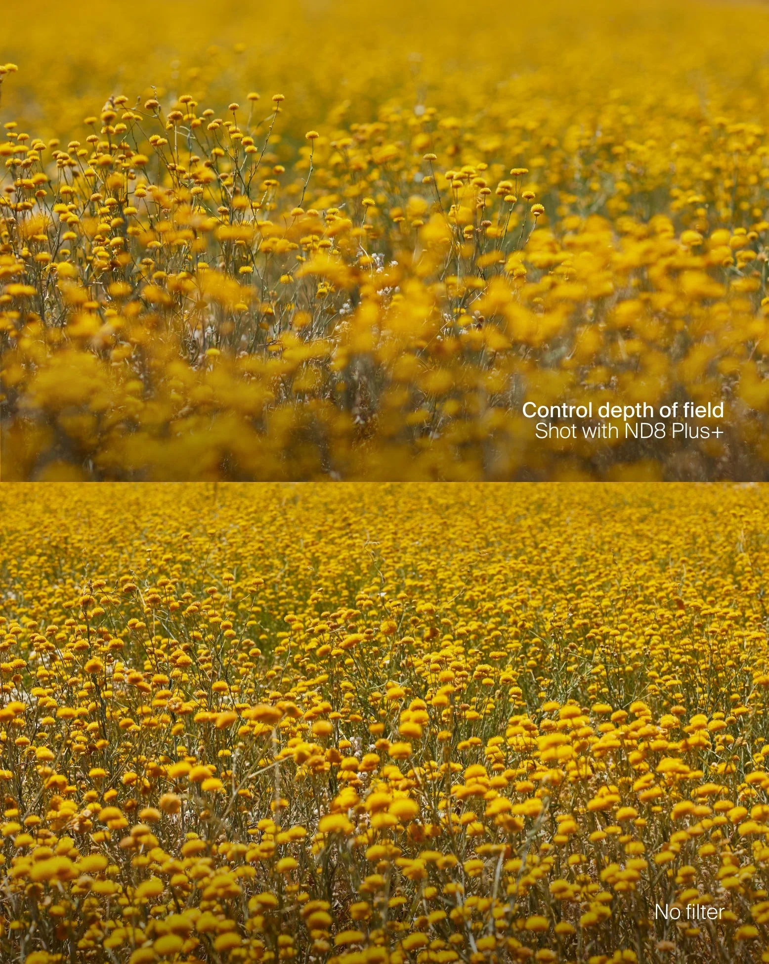 Magnetic ND Selects Filter Kit Plus - Image 5